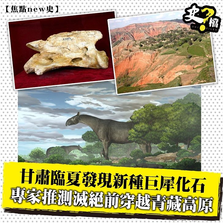 甘肅臨夏發現新種巨犀化石 專家推測滅絕前穿越青藏高原