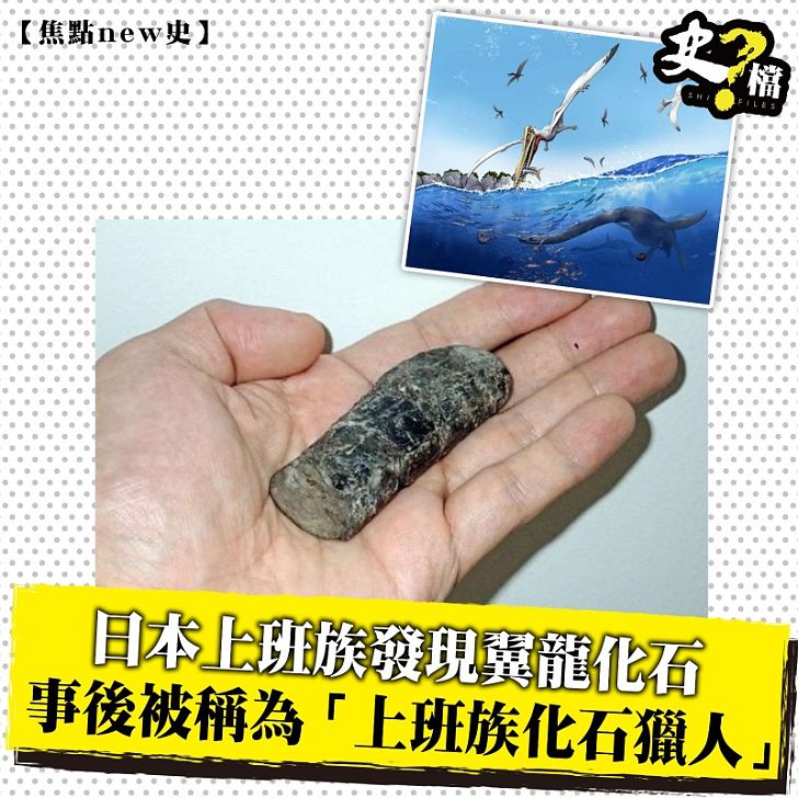日本上班族發現翼龍化石  事後被稱為「上班族化石獵人」
