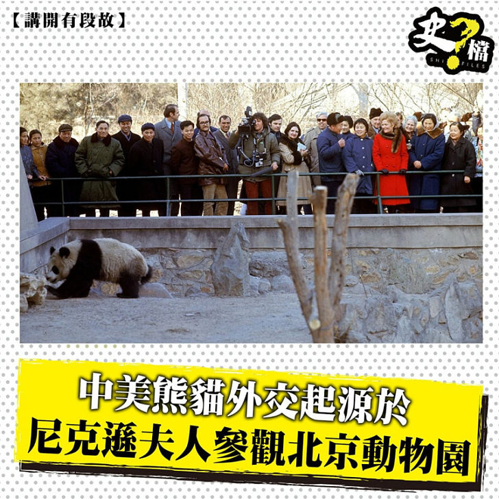 中美熊貓外交起源於 尼克遜夫人參觀北京動物園